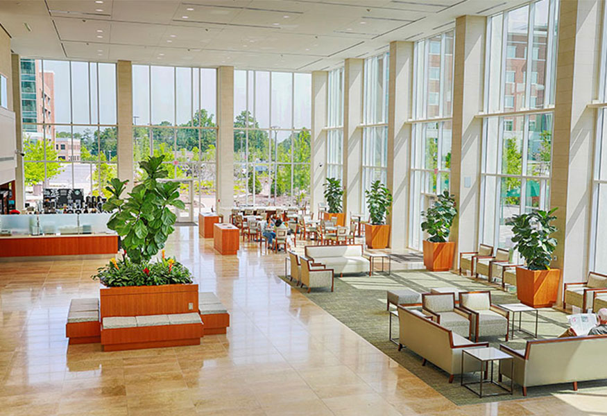 A sunny reception area with floor to ceiling windows, comfortable sitting areas, and potted plants around the room.